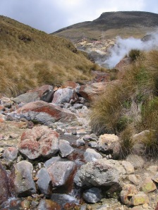 A small stream and volcanic activity from the ground
